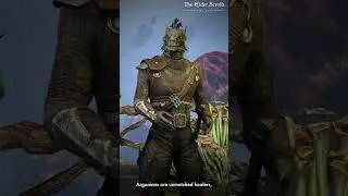 Whether you're an Orc, Nord, or Wood Elf, your race shapes your journey in ESO!