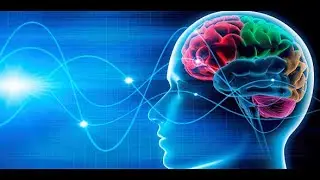 112: Investing and Neuroplasticity / On Staying Flexible