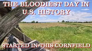 Antietam: Carnage in The Cornfield