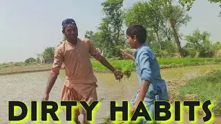 From Seed to Plate | The Art of Rice Cultivation | Dirty Habits | Village Life