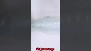 DIY easy plastic bottle car | കിടിലൻ ടോയ് കാർ | simple to car making |#shorts #DIY #toycar #craft