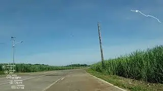 Rooster Cafe Down To Silay Airport