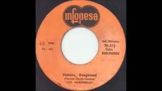 Los Habaneros-Habana Guaguancó.