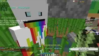 Minikloon Gave Me A Special Item... ( Hypixel Skyblock)