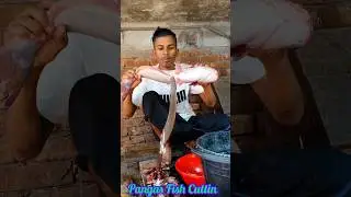 Pangas Fish Cutting Mastery | Expert Techniques Revealed #asmr #fishcutting #seafood #fishfilleting