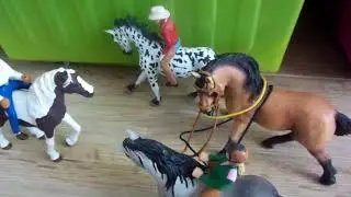 Serial schleich:Przygody w Stadninie 