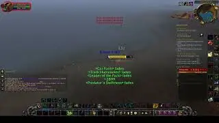 Warmane onyxia #check if its you #pvp#sauvage#Cat # Sp #low lvl