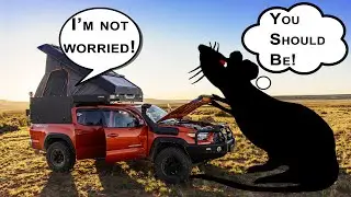 Stop Mice From Chewing Engine Wiring Insulation Under Hood When Camping Overlanding