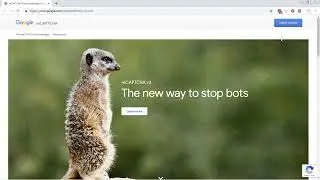 Creating the Contact Form - Building a Business Website Using WordPress