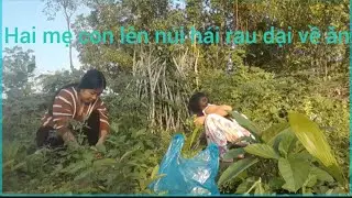 Hai mẹ con lên núi hái rau dại về ăn.