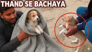 Is nanhi si jaan ne mera dil jeet liya... 🥺❤️ 