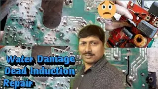 how to Repair dead Induction Cooker | Water Damag Induction Cooker Repair | Induction Repair Kare