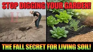 Stop! Don&rsquo;t Dig Your Garden This Fall&ndash;The Trick Smart Gardeners Swear By for Explosive Spring Growth