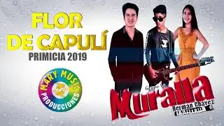 Flor de Capul&iacute; - La Muralla |Herman Chavez| Audio Visual 2019