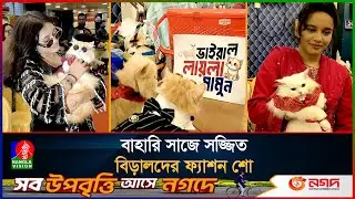 বিড়ালের ফ্যাশন শো, হাজির হয়েছে লায়লা-মামুনও! | Cat Ramp Show | Cat Walk | Barishal I BanglaVision