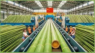 Inside a Massive Bamboo Processing Plant | From Raw Bamboo to Finished Products (Full Process)
