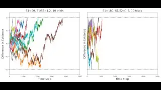 Cognitive Science : Using Drift-Diffusion Model to understand perception of complex stimulus