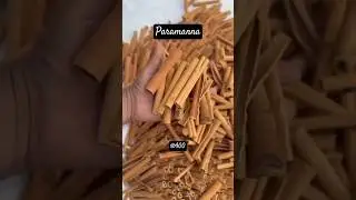 Dalchini pipe wholesale cinnamon ciger wholesale