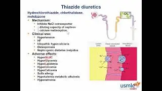Thiazide Diuretics   @USMLERxStep1