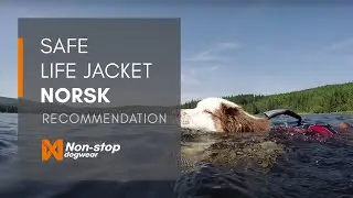 Non-stop dogwear Safe life jacket (Norsk)