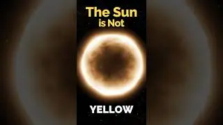 The Sun Is NOT Yellow 🤯☀️#shorts #space #universe #science #facts #viral #trending #nasa #trend