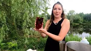 Wellington County Museum | County Cocktails - Aberfoyle Mill Restaurant (Full Episode)