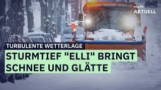 Sturmtief Elli: So ist die aktuelle Lage in Sachsen, Sachsen-Anhalt und Th&uuml;ringen | MDR AKTUELL live