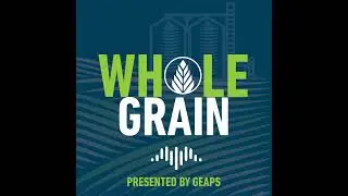 Grain Supply Chain: Risk, Resiliency, and Why You Should Care