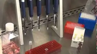 Mirus TransIT-LT1 Transfection Reagent Protocol