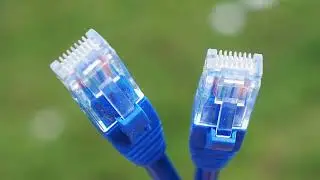 Network Cable : Cat 6