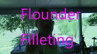 Flounder filleting    www.Wanderingwilly.com