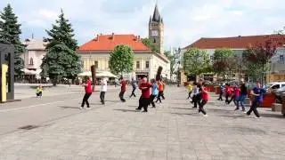 Tai Chi Chuan Flash-mob Romania, mai 2017