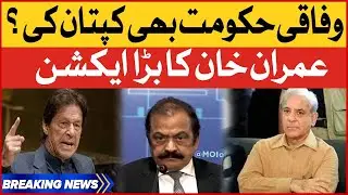 Imran khan PM Again? | PTI in Big Action | Breaking News