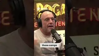 The Shocking Truth About Brain Damage in Martial Arts