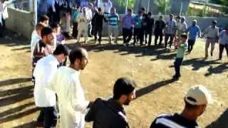 Dicle Pekmeciler köyünde ilk islami düğün 3