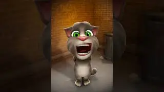 Talking Tom Cat app - First try!!