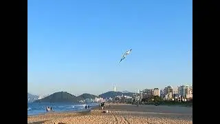 90Three vented JL training at Praia Brava