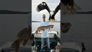 Bald eagle takes my northern pike. @1Mntnrdr