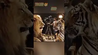 lion 🦁 and 🐯 tiger #fanny discuss about....RRR.SSMB29 ..... MOVIES