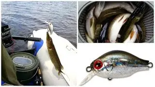 Обзор на копию ZipBaits B-Switcher. Тест под водой и поклевки. Test under water and bite.