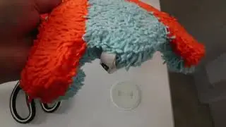 Chuckit squirrel Dog toy | Playtime with the ChuckIt! Indoor Squirrel Dog Toy Review #reviews