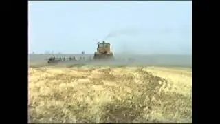 Островский 3тье отделение поля