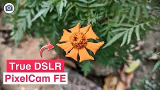 True DSLR Google Camera | PixelCam FE 2.0 | Photo Samples | Any Android🔥🔥