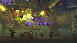 Vibrant vs. Mythic Rik Reverb - Protection Paladin POV