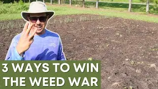 Conquering a Weedy Garden: 3 Effective Solutions