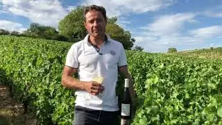 Behind the wines | Franck Millet - Sancerre