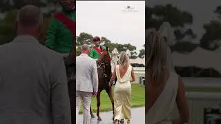BABELICIOUS одержал победу в скачках Windhoek Olympic Duel Stakes категории Listed.
