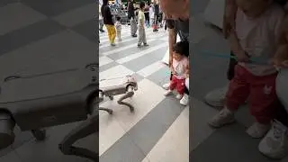 First Encounter with a Robot Dog: Different Kids, Different Reactions #future #roboticdog