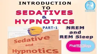 Introduction of Sedative and hypnotics, Human Sleep Patterns NREM and REM