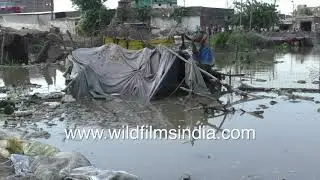 Flooding at slum settlement in Punjab | Submerged shacks, residents in shelter camps